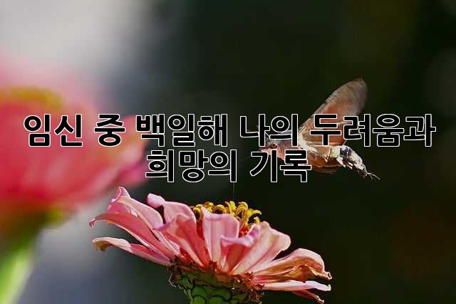 2eeef1e8bb8068312f986c2d8f3206db.jpg