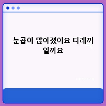a3781b2fa7ee39eafb4ef0f28a6dfdd4.jpg