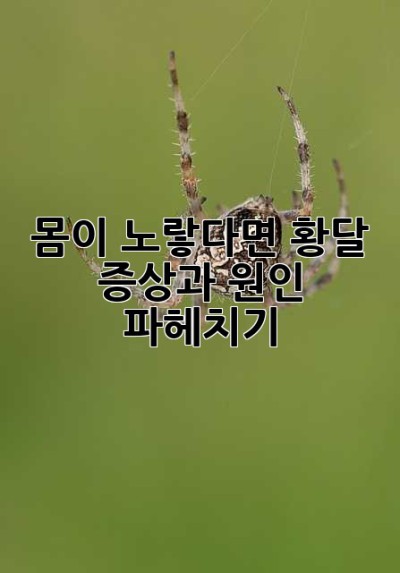몸이 노랗다면? 황달 증상과 원인 파헤치기