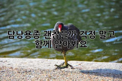 담낭용종, 괜찮을까? 걱정 말고 함께 알아봐요!