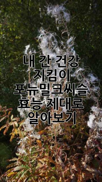 내 간 건강 지킴이? 포뉴밀크씨슬 효능 제대로 알아보기!