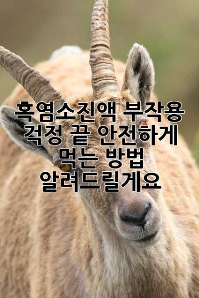 흑염소진액, 부작용 걱정 끝! 안전하게 먹는 방법 알려드릴게요 🥰