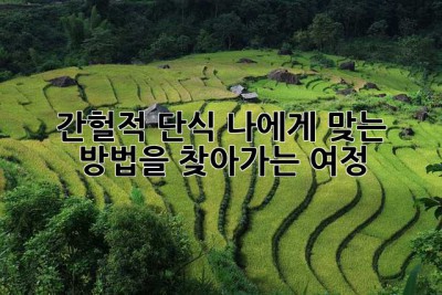 간헐적 단식, 나에게 맞는 방법을 찾아가는 여정