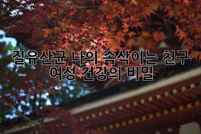 질유산균, 나의 속삭이는 친구: 여성 건강의 비밀