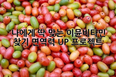 나에게 딱 맞는 이뮨비타민 찾기: 면역력 UP 프로젝트! 💪