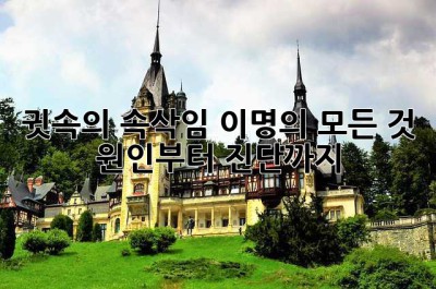 귓속의 속삭임, 이명의 모든 것: 원인부터 진단까지