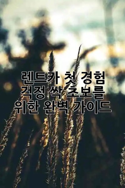 🚗 렌트카 첫 경험? 걱정 싹! 초보를 위한 완벽 가이드 🗺️
