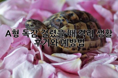 A형 독감 걸렸을 때, 격리 생활 후기와 예방법