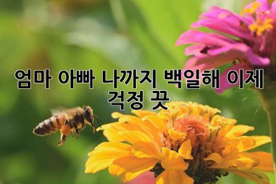 엄마, 아빠, 나까지! 백일해, 이제 걱정 끗!