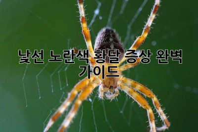 낯선 노란색, 황달 증상 완벽 가이드