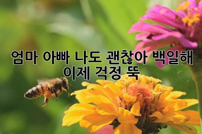 엄마, 아빠, 나도 괜찮아? 백일해, 이제 걱정 뚝!