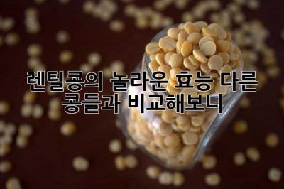 렌틸콩의 놀라운 효능: 다른 콩들과 비교해보니…😮