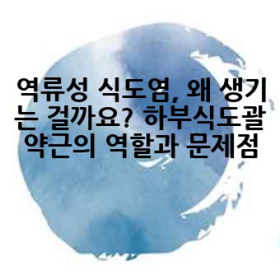 역류성 식도염 증상, 왜 나타나고 어떻게 관리해야 할까요?