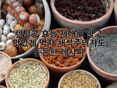 렌틸콩 효능 제대로 알고 맛있게 먹자! 채식주의자도 든든한 레시피