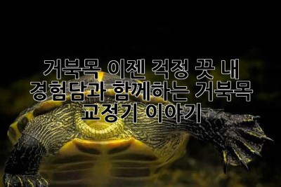 거북목? 이젠 걱정 끗! 내 경험담과 함께하는 거북목 교정기 이야기