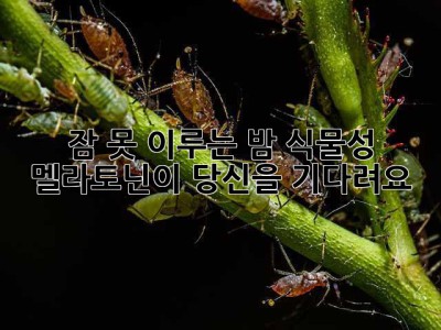 잠 못 이루는 밤, 식물성 멜라토닌이 당신을 기다려요🌙
