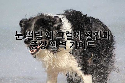 눈 떨림, 왜 그럴까? 원인과 증상 완벽 가이드