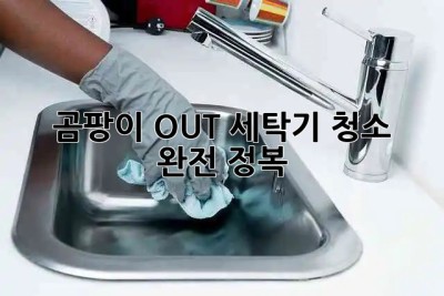 곰팡이 OUT! 세탁기 청소 완전 정복 🫧✨